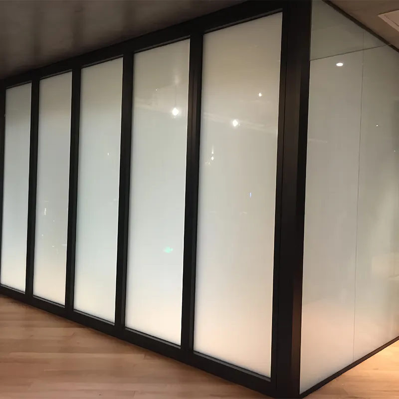 Стекло с регулируемой прозрачностью (1)